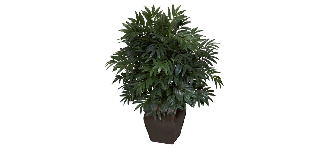 Double Bamboo Palm with Decorative Planter