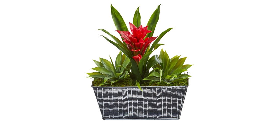 Red Bromeliad and Agave Artificial Plant in Embossed Tin Planter