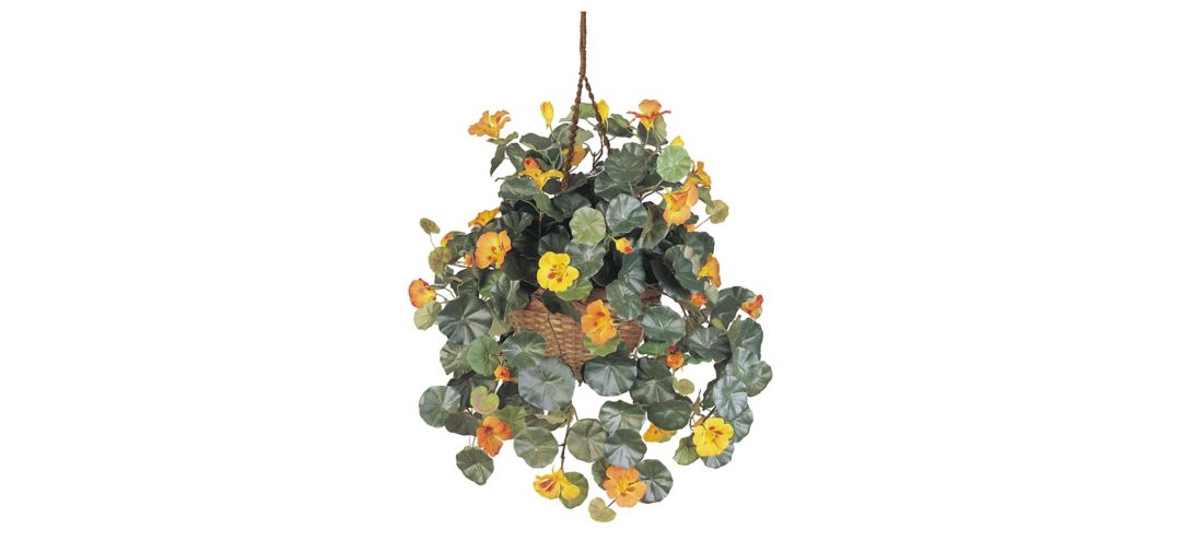 Nasturtium Silk Hanging Basket