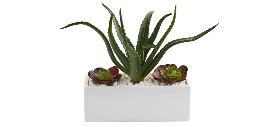 Aloe and Echeveria Succulent Artificial Plant in White Planter