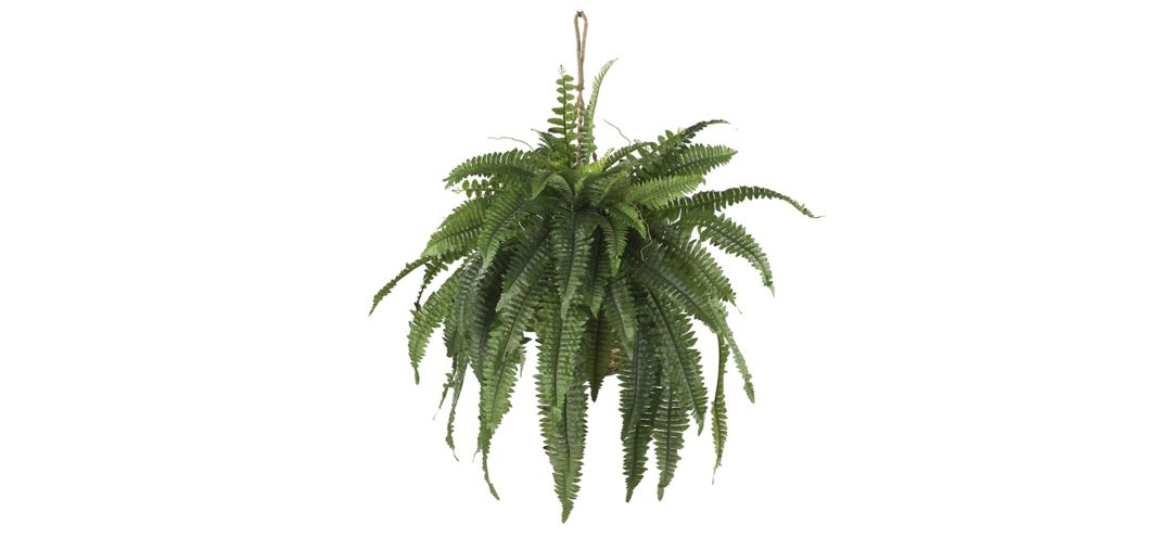 140128080 Large Boston Fern Hanging Basket sku 140128080