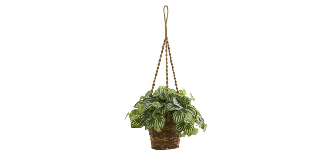 Watermelon Peperomia Artificial Plant in Hanging Basket