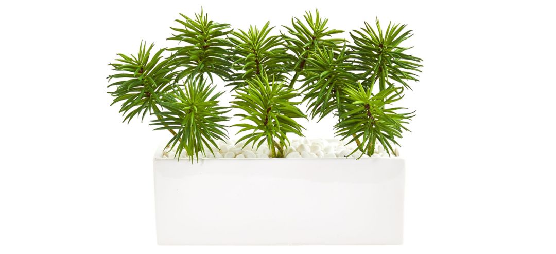 Spiky Succulent Garden Artificial Plant in White Ceramic Vase