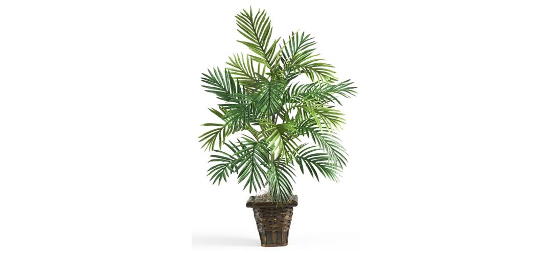 Areca Palm with Wicker Basket