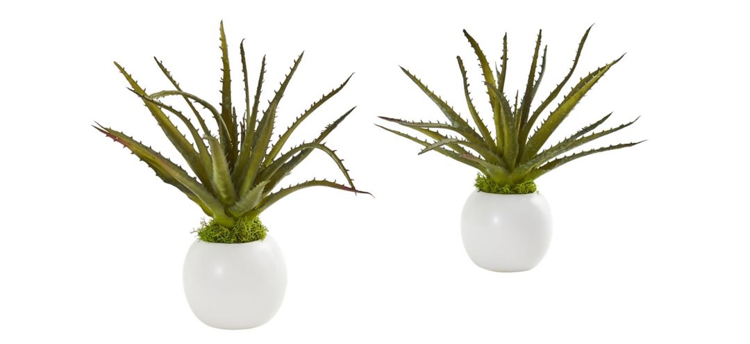 Mini Aloe Succulent Artificial Plant in White Vase: Set of 2