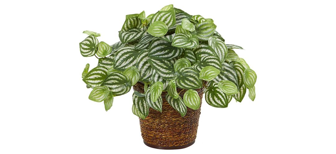 Watermelon Peperomia Artificial Plant in Basket