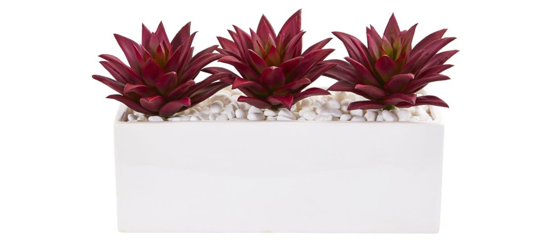 Triple Agave Succulent Artificial Plant in White Vase