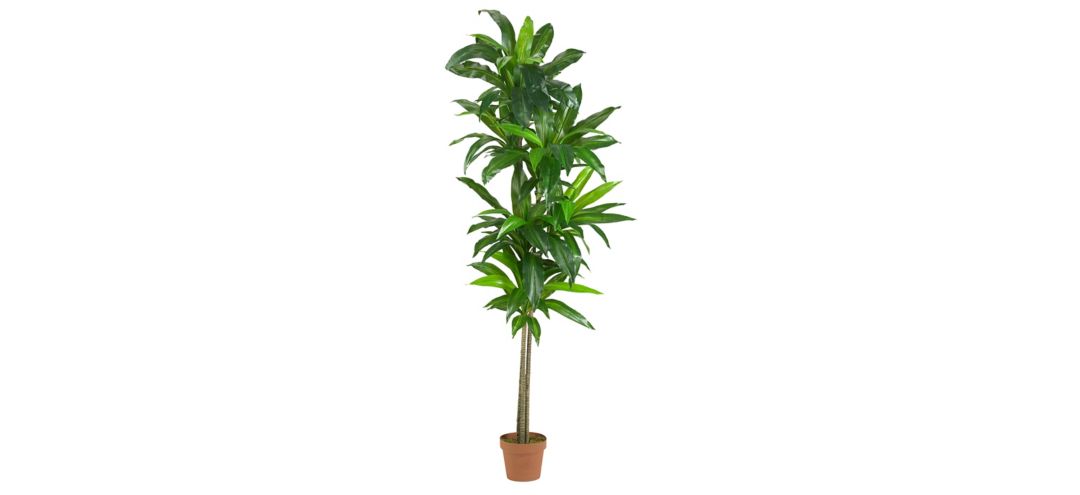 140128560 Dracaena Silk Plant sku 140128560