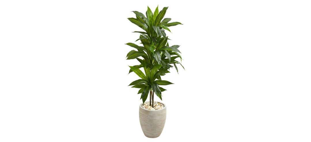 140128600 Dracaena Artificial Plant in Sand Colored Planter sku 140128600