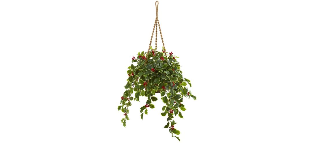 40” Variegated Holly with Berries Artificial Plant in Hanging Basket