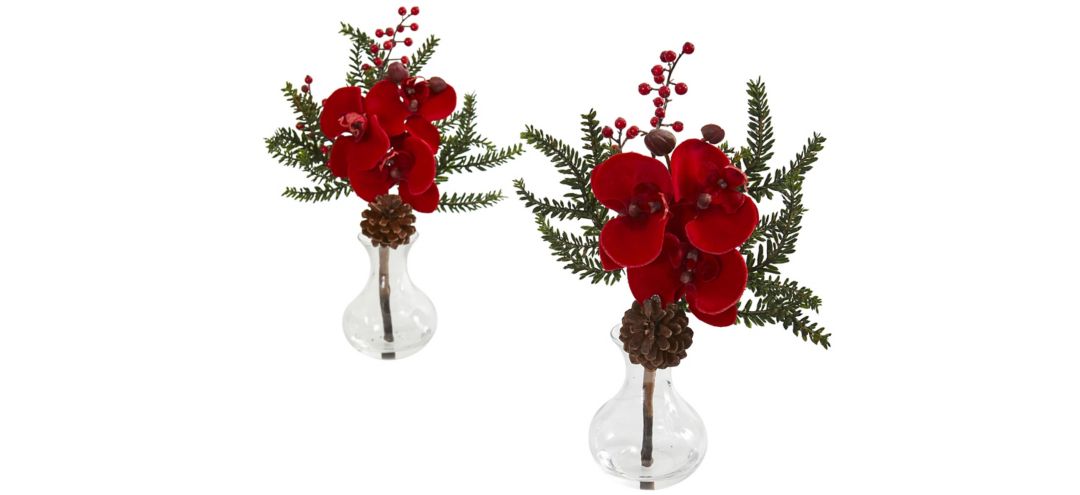 Phalaenopsis Orchid, Berry and Pine Artificial Arrangement: Set of 2