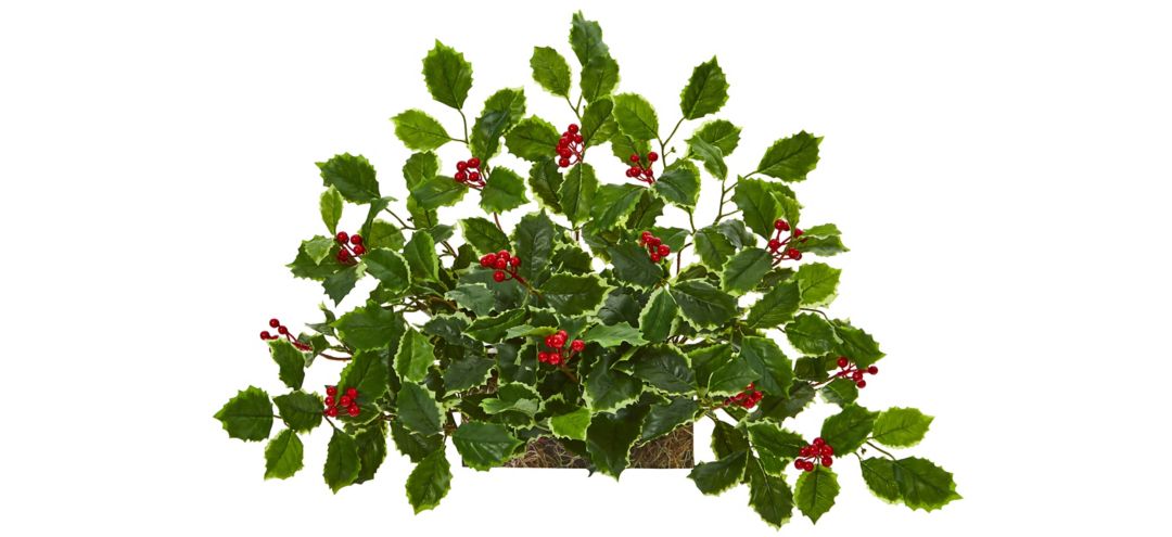 "20"" Variegated Holly with Berries Artificial Ledge Plant"