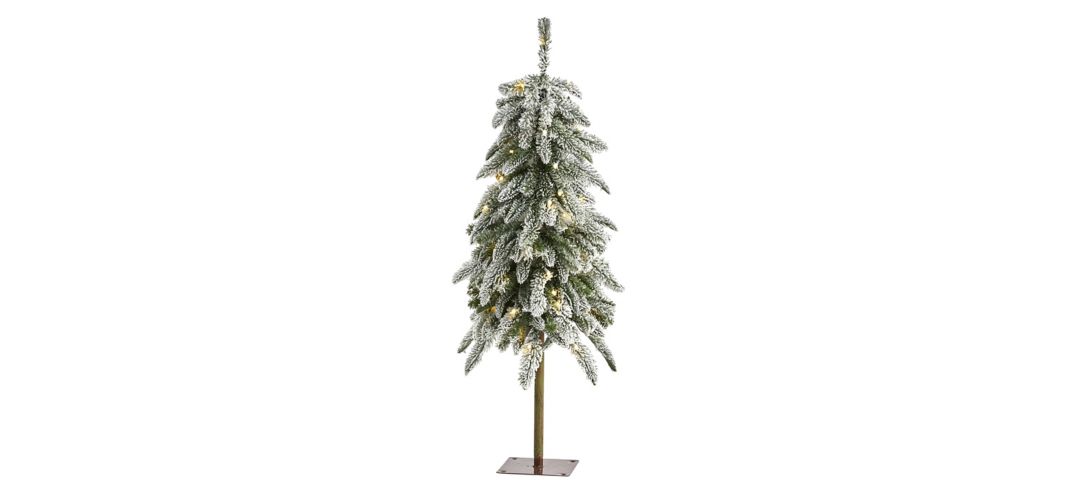 3.5ft. Pre-Lit Flocked Washington Alpine Christmas Tree