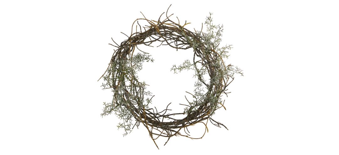 17in. Frosted Twig Wreath