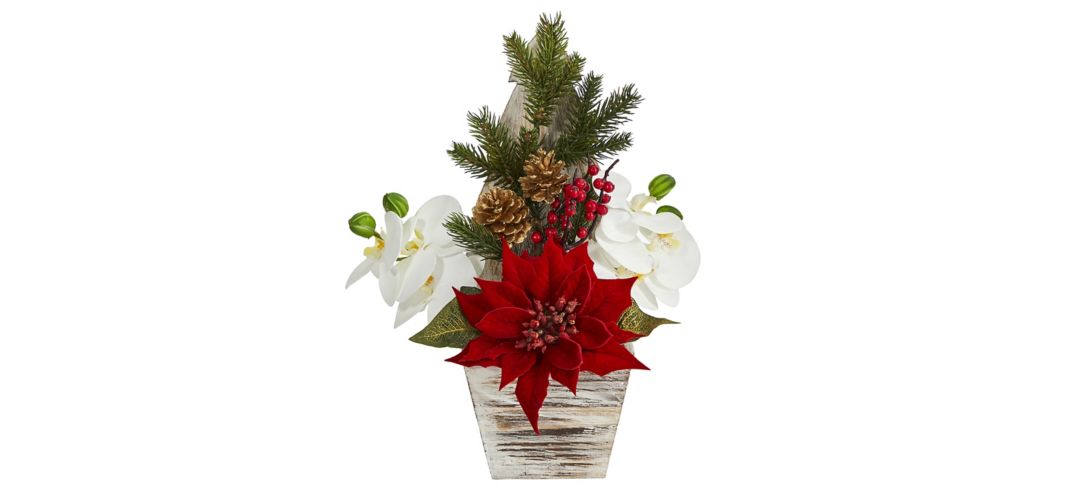 15in. Poinsettia and Orchid Arrangement