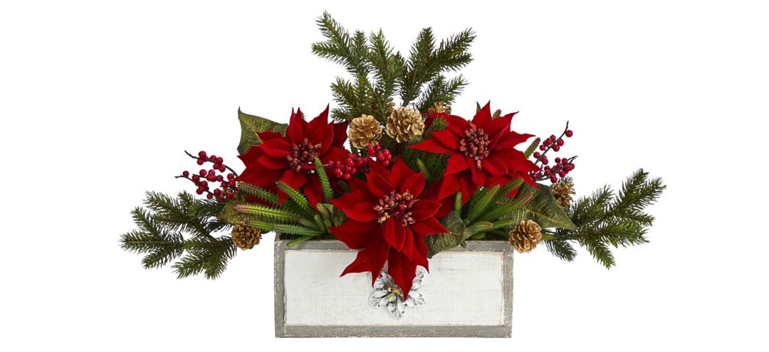 28in. Poinsettia and Cactus Arrangement