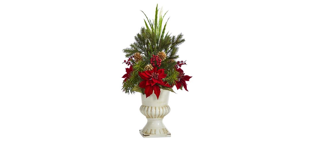 28in. Poinsettia, Grass and Succulent Arrangement