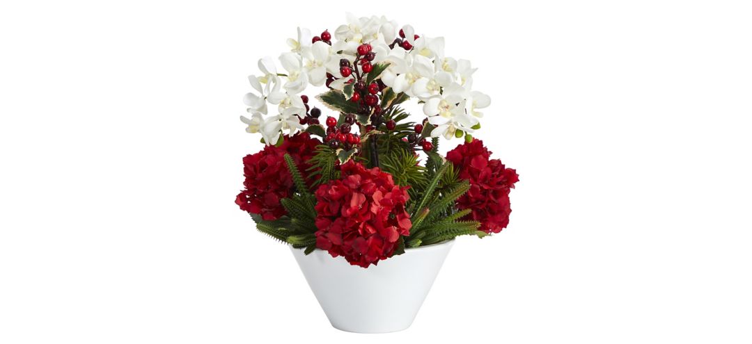 18in. Phalaenopsis Orchid, Hydrangea, Cactus and Holly Berry Arrangement