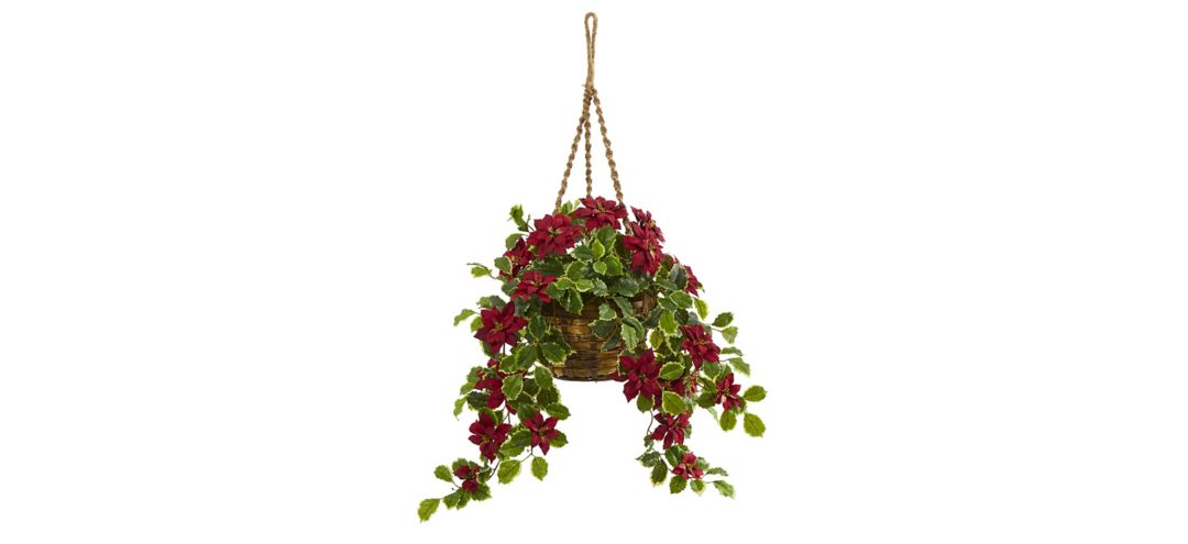 3.5ft. Poinsettia and Variegated Holly in Basket