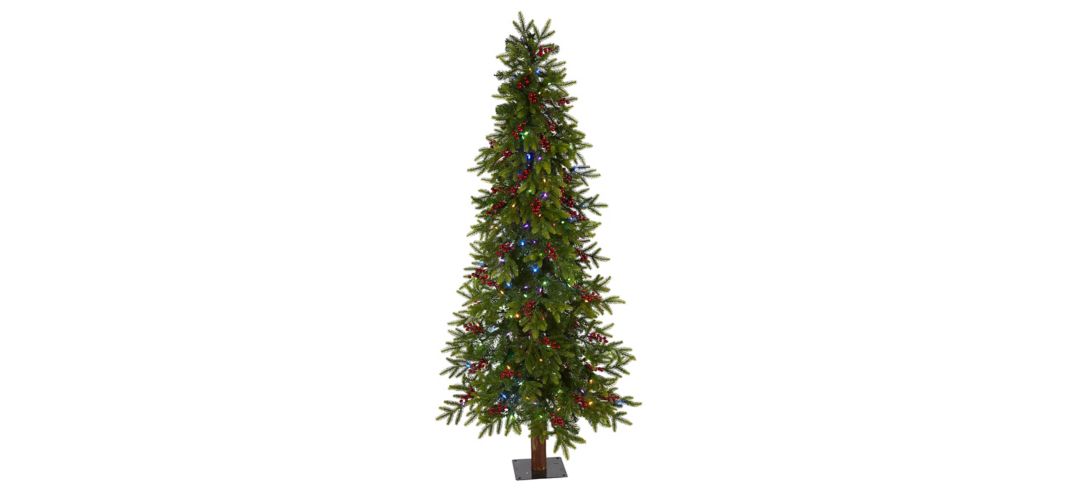 6ft. Pre-Lit Victoria Fir Artificial Christmas Tree