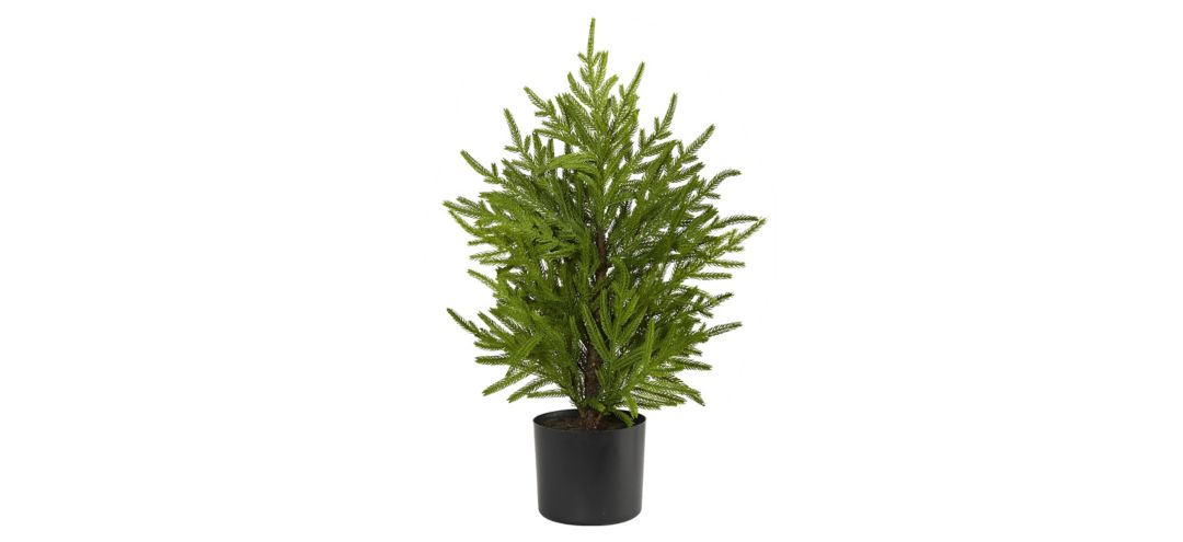 2ft. Norfolk Island Pine “Natural Look” Artificial Tree