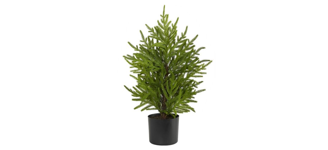 140134350 2ft. Norfolk Island Pine “Natural Look” Artifi sku 140134350