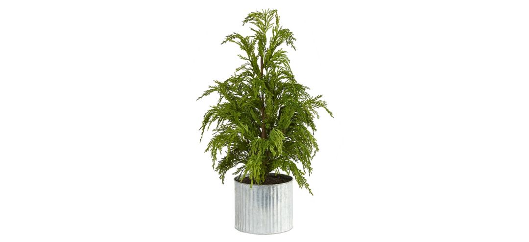 20in. Cedar Pine “Natural Look” Artificial Tree