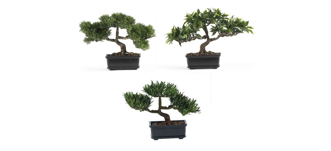 12in. Bonsai Silk Plant Collection (Set of 3)