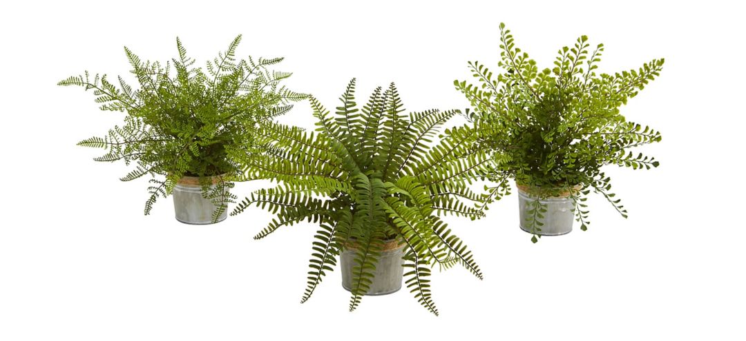 14in. Assorted Ferns with Planter Artificial Plant (Set of 3)