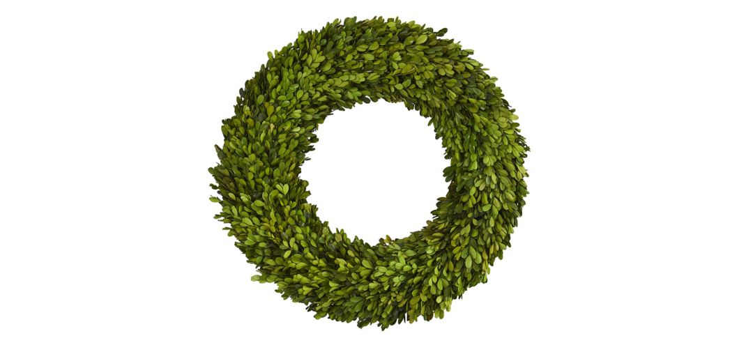 24in. Preserved Boxwood Wreath