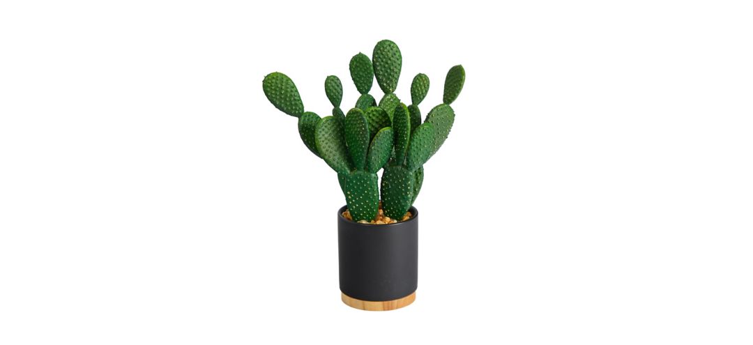 10in. Cactus Succulent Artificial Plant in Planter