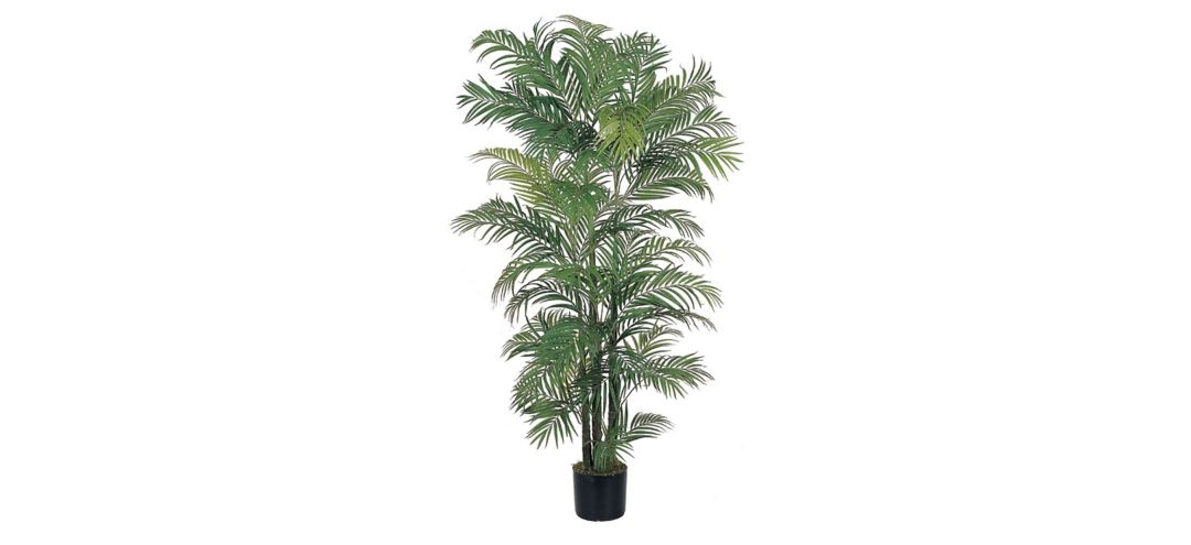 6ft. Areca Silk Palm Tree