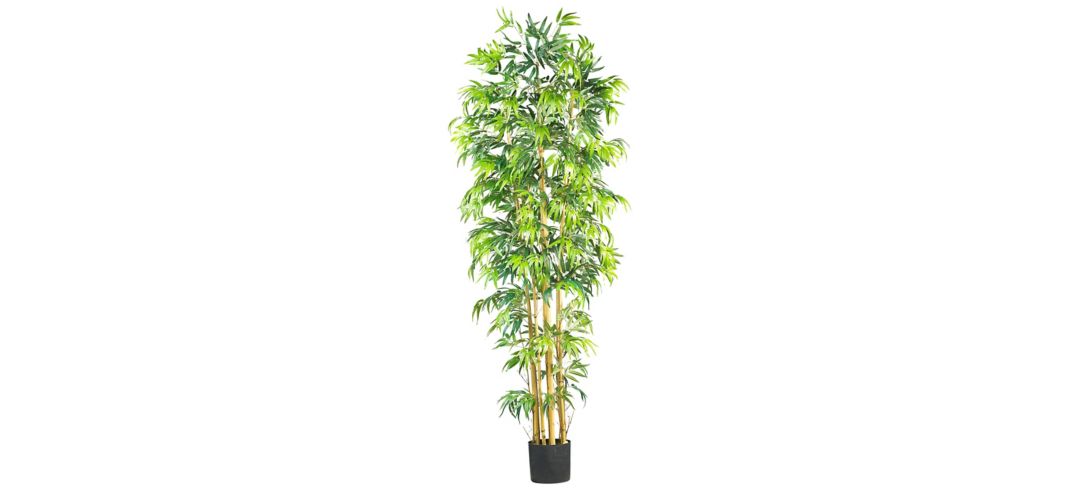 7ft. Bambusa Bamboo Silk Tree