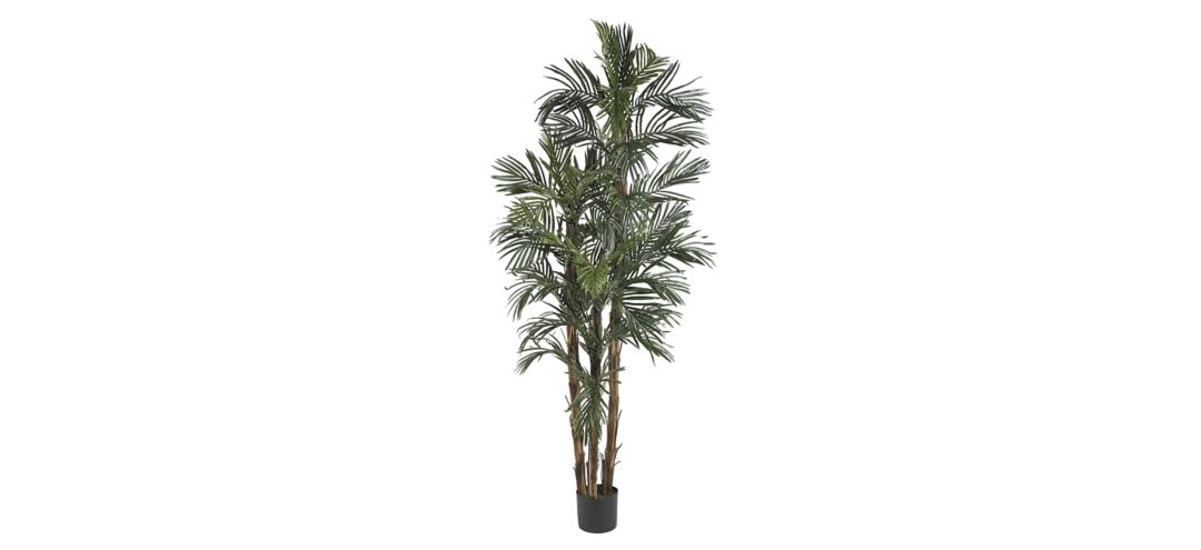 6ft. Robellini Palm Silk Tree