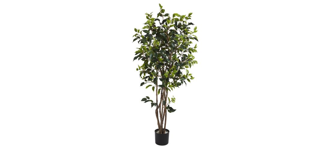 5ft. Ficus Bushy Silk Tree