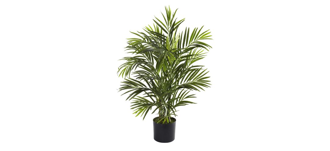 2.5ft. Areca Palm (Indoor/Outdoor)