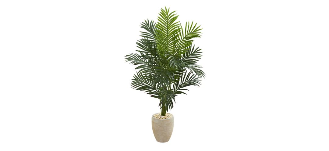 140156410 5.5ft. Paradise Artificial Palm Tree in Planter sku 140156410