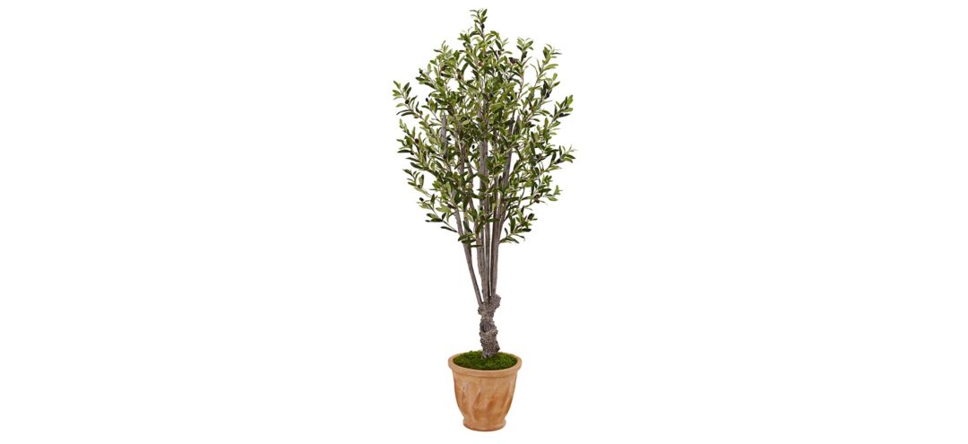 5ft. Olive Artificial Tree in Terracotta Planter