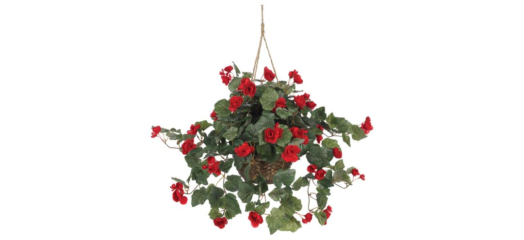 140166160 Begonia Hanging Basket sku 140166160