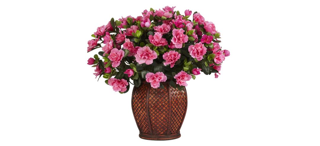 Azalea with Vase Silk Plant