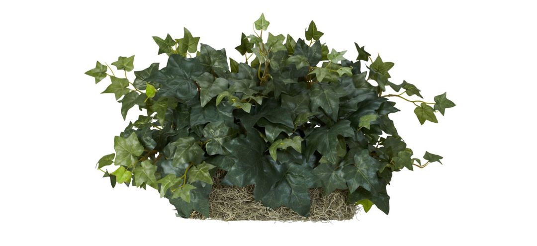 Ivy Ledge Plant (Set on Foam) Silk Plant
