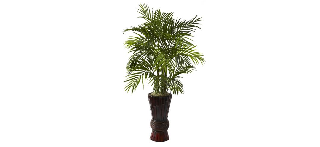 4ft. Areca with Bamboo Planter