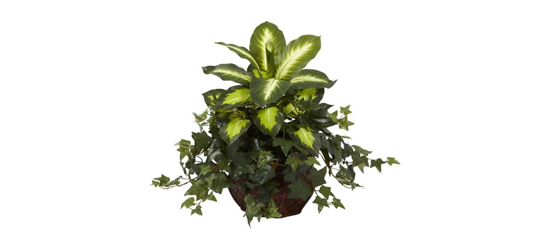 Dieffenbachia & Ivy with Decorative Artificial Planter