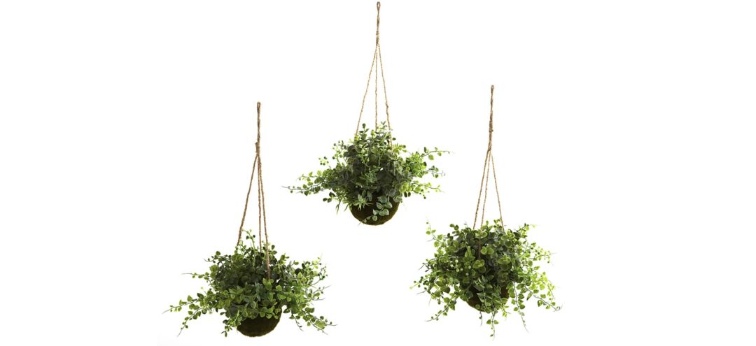 Eucalyptus, Maiden Hair & Berry Hanging Basket (Set of 3)