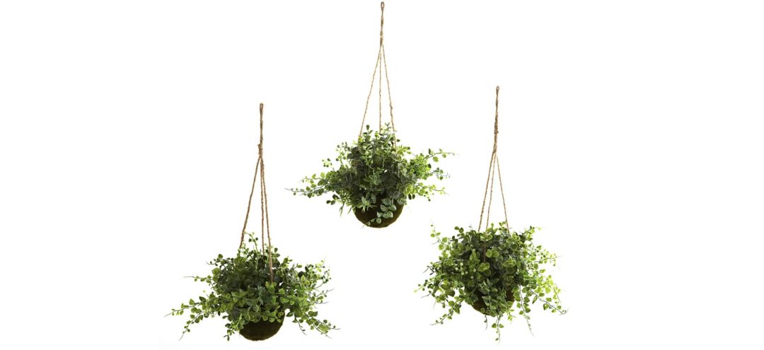 140167410 Eucalyptus, Maiden Hair & Berry Hanging Basket (Se sku 140167410