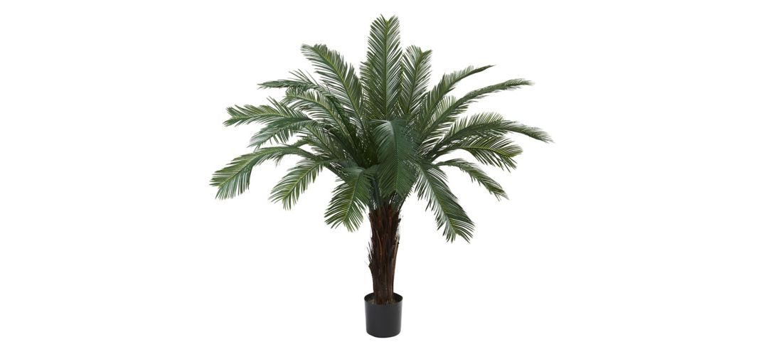 140167700 5ft. Cycas Tree (Indoor/Outdoor) sku 140167700