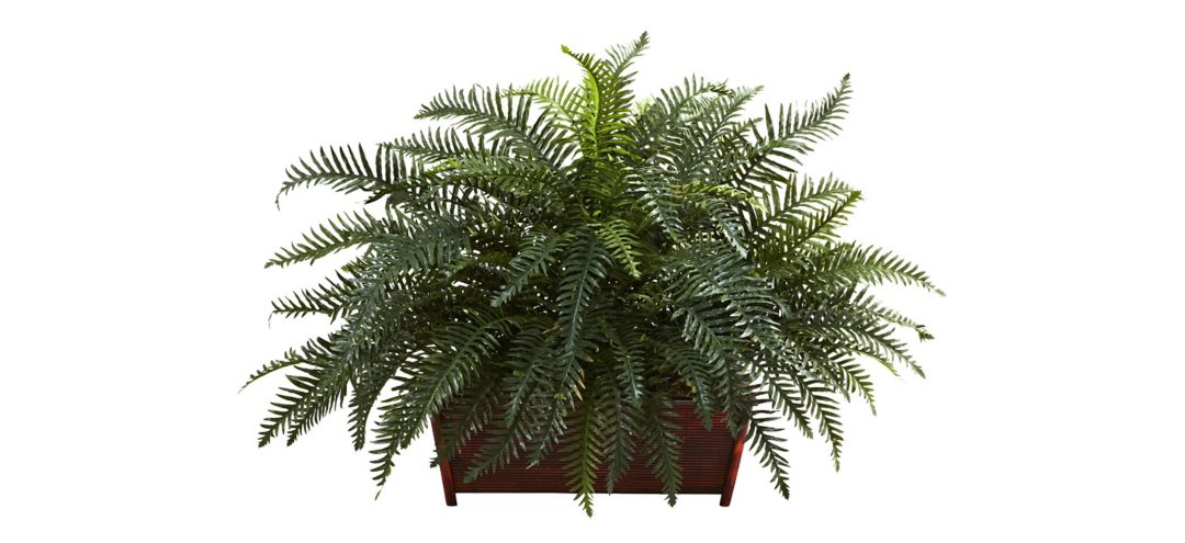 River Fern with Wood Planter