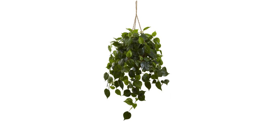 Philodendron Hanging Basket (Indoor/Outdoor)