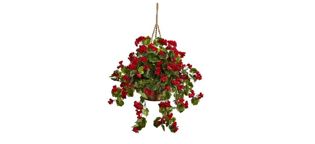 Geranium Hanging Basket (Indoor/Outdoor)