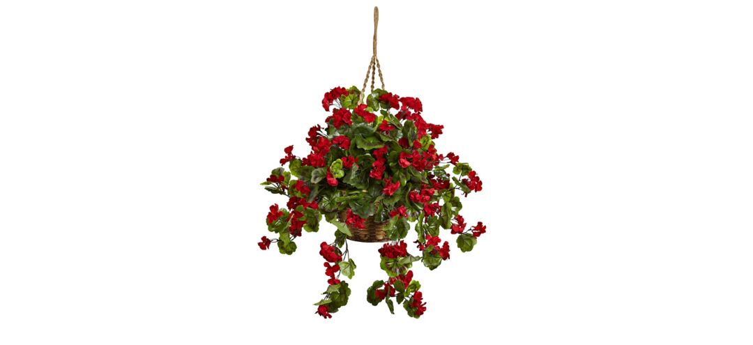 140168570 Geranium Hanging Basket (Indoor/Outdoor) sku 140168570